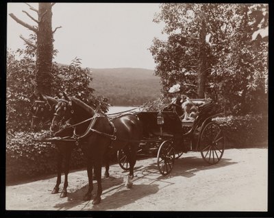 Una mujer y un perro en un carruaje tirado por caballos, 1899 de Byron Company